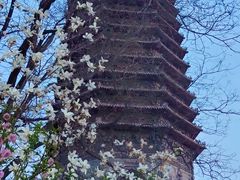 -玲珑塔公园