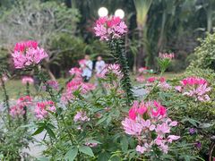 -莲花山公园