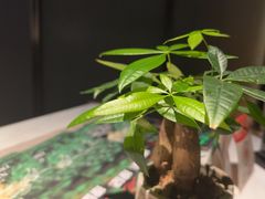 -徐记海鲜·家宴(南油永新汇店)