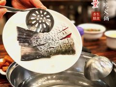 -正能量脆肉鲩火锅