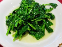 酒香豆苗-老吉士酒家(天平路店)