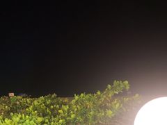 -渔家火锅·海鲜自助餐·演艺(亚龙湾天域酒店)
