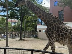 -灵玲国际马戏城