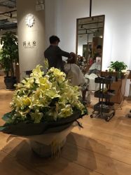 点击看大图 -北京简法造型