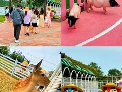 -渔岛海洋度假区