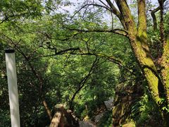 -綦江古剑山