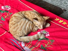 -龙华素斋(龙华路店)