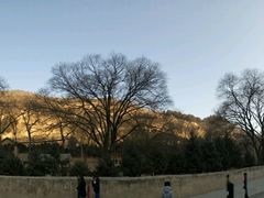 -延安杨家岭革命旧址