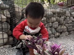 -Supine Bistro溯泮餐厅