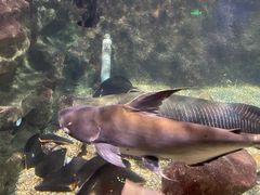 -太平洋海底世界