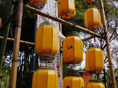 -西溪国家湿地公园