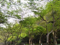 -雨花台烈士纪念馆