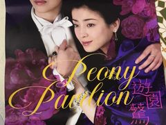 -北京大学百年讲堂