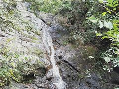 -东天目山风景区