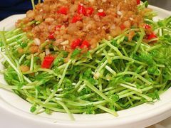 上汤豌豆尖-刘胖子家常菜·蹄花焖藕(兴业店)