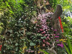 -郑州植物园