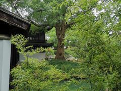 -惠山古镇·寄畅园