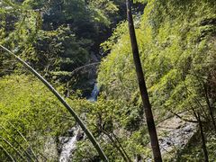-东天目山风景区