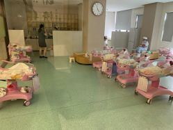 -宝生月子中心·独栋独院式(南山店)