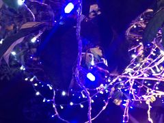 -杭州君悦酒店