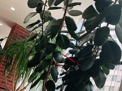 -惠友大虾(太原北街店)