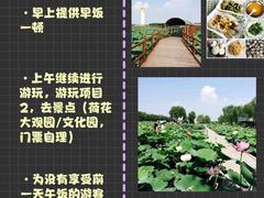 -白洋淀景区
