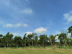 -上海海湾国家森林公园