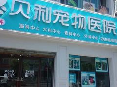 -贝利宠物医院·骨科·眼科·肿瘤转诊中心(南坪诊疗中心)