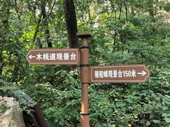 -大岭沟猕猴桃谷风景区