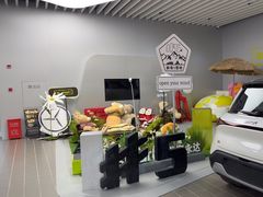 -上海浦东smart汽车全功能店(金桥店)