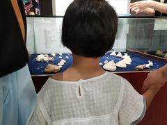 -青岛贝壳博物馆