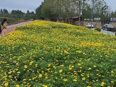 -夏河溪乡野公园