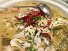 -饭怕鱼·黄焖鲟龙鱼(湖大店)