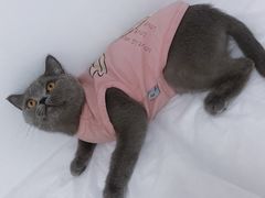 -和子足浴SPA会馆(梁溪店)