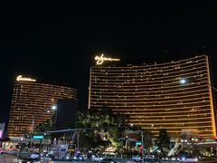 -拉斯维加斯永利酒店