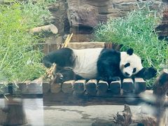 -石家庄市动物园