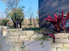 -Supine Bistro溯泮餐厅