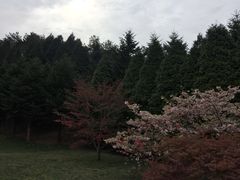 -四明山国家森林公园