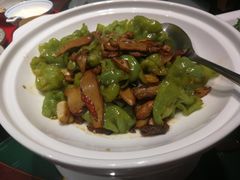 椒香牛肝菌-九十九顶毡房(阜石路店)