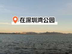 -深圳湾公园(南山区)