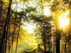 -西湖风景区十里琅珰-五云山