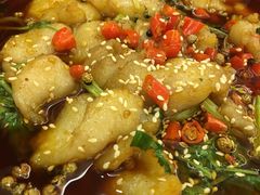 渔王麻辣鱼-渔王川菜馆(镇邦路店)