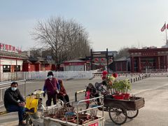 -曹州牡丹园