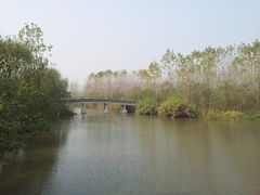 -溱湖国家湿地公园