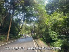 -火炉山森林公园
