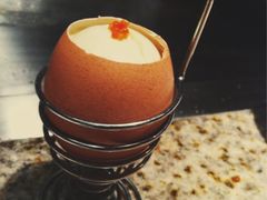 飞鱼籽蒸蛋-57度湘