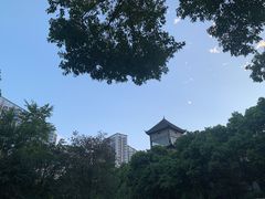 -醉月城西昌火盆烧烤(天府店)