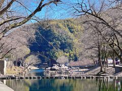 -鹿亭中村