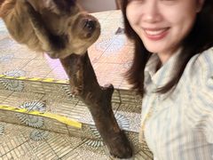 -正佳雨林生态植物园