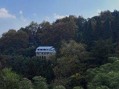 -金鱼妈妈 山野·食趣(荫山街店)